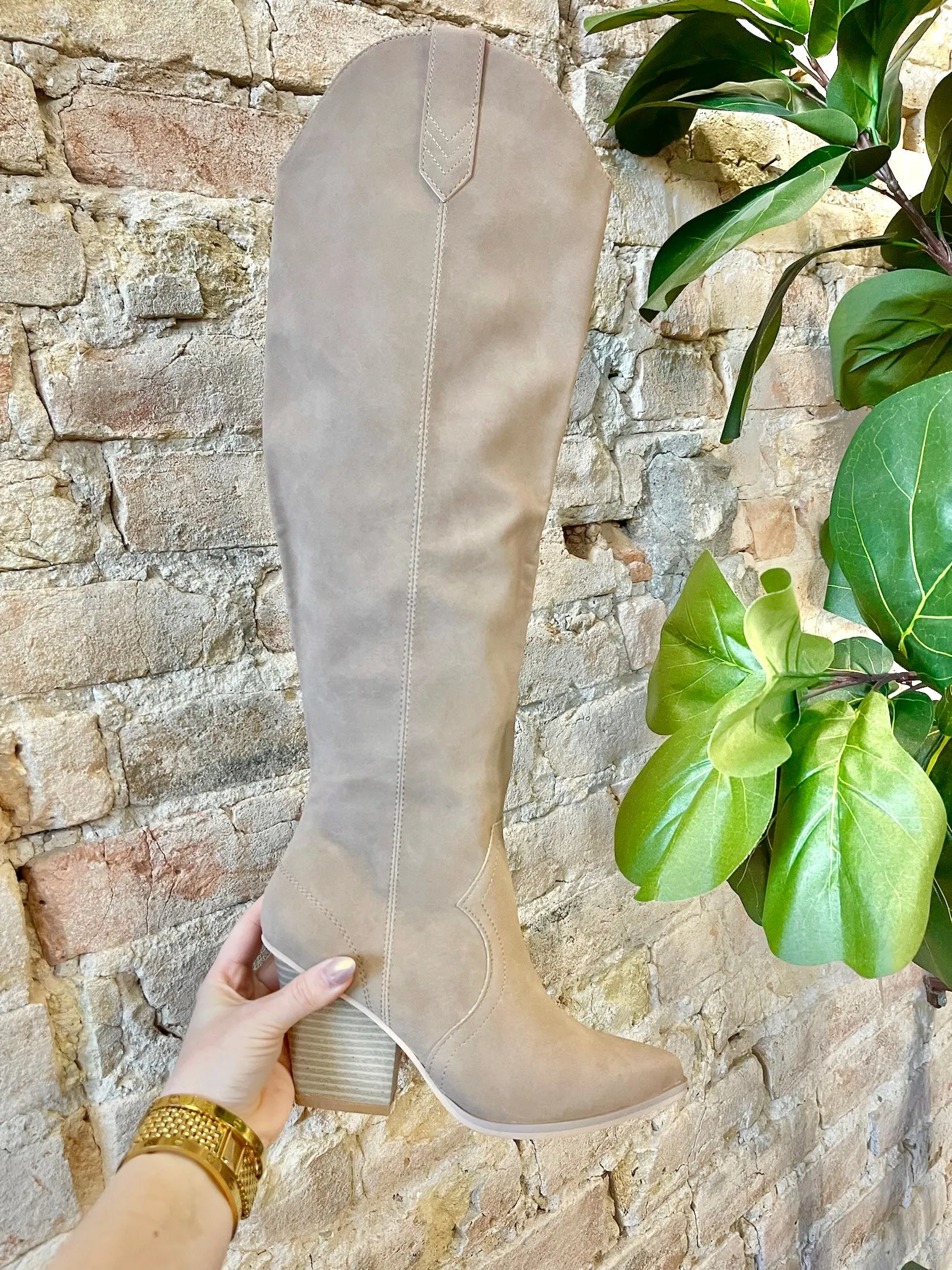 40% Off - Tell Me About It Taupe Knee High Boots